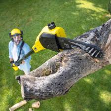 Artificial Turf Installation in Verde Village, AZ
